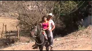Beautiful Rider on Pony