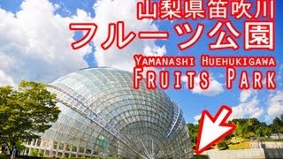 山梨県 笛吹川 フルーツ公園　Yamanashi city Fruits park