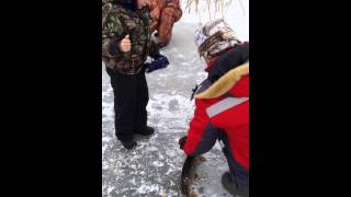 IMG 1848