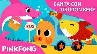 Tiburón Bebé en el Bus | Canta con Tiburón Bebé | Pinkfong Canciones Infantiles