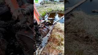 Миниэкскаватор kubota k008 осушает участок.