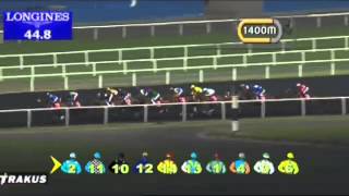 Watch Prince Bishop (Dubawi) win the G1 Al Maktoum Challenge R3 at Meydan, Dubai, 2014