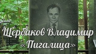 Щербаков Владимир Васильевич - Пигалица