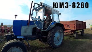 Разобрали итальянский двигатель на ЮМЗ-8280
