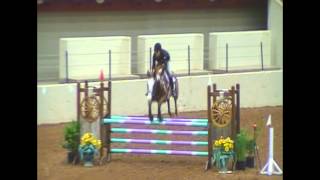 Ping Pong at Waco Horse Show 2013