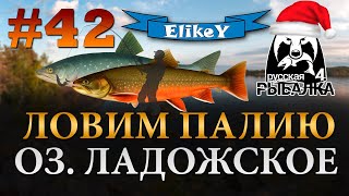 Палия • Какие секреты? • Новая Оснастка • Фарм Серебра • Оз. Ладожское • Русская Рыбалка 4 #42