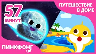 Пойдем в космос, на сафари, к океану с нами! | +Сборник | Пинкфонг Песни для Детей