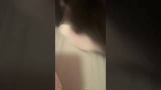 My sisters hairy pussy