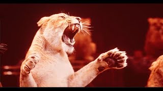Цирк для детей от ELITE CINEMA  2020 Аттракционы! Клоуны и Звери ! Circus