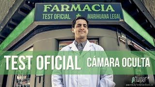 TEST OFICIAL - Marihuana Legal en Uruguay - (Cámara Oculta) (PRANK)