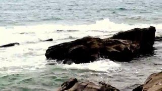 На берегу Японского моря-01.05.16г.(авт.Игорь Жабский)