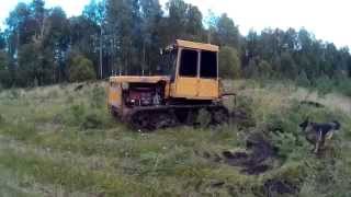 ДТ-75. Первый самостоятельный выполз стажерки