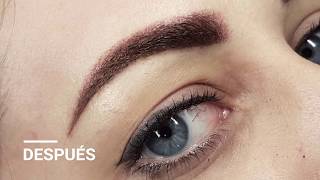 CEJAS SOMBREADAS