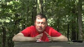 НАУКА И ИСКУССТВО. Вадим Гаврилов, орнитолог