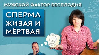Сперма.  Живая и мёртвая вода.