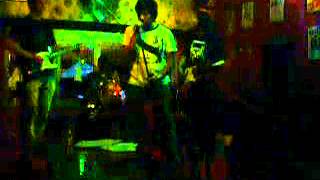el abejon tigre-SUN