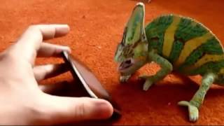 CRAZY CHAMELEON SCREAMS  New funny prank April  Новые смешные приколы Апрель 2013   YouTube