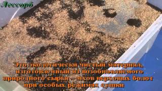 Сорбент Лессорб   Экстра
