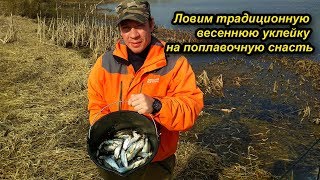 Ловим традиционную весеннюю уклейку на поплавочную снасть