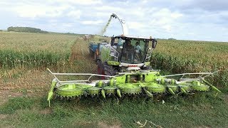CLAAS JAGUAR 970 | ORBIS 900 12 RANG | MAN V8 775 CH