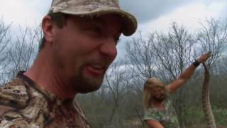 Massive Hog Kills, Javelina Rattlers.  S Texas Archery Slamajama.