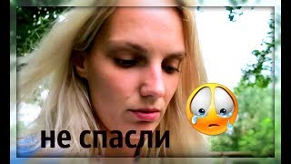 РОДЫ ШПИЦА НА 68 ДЕНЬ. ЩЕНОК УМЕР.