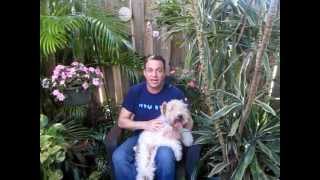 Healthy pets, healthy garden
