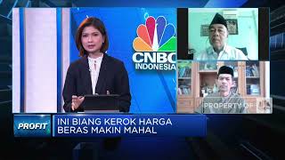Petani & Pedagang Ungkap Biang Kerok Harga Beras Makin Mahal