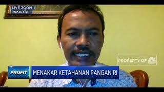 Ini Syarat Agar Program Food Estate Jokowi Bisa Berhasil