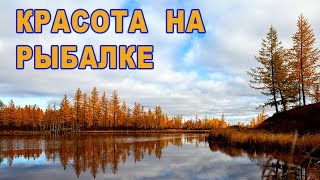 Красота на рыбалке! Рыбалка на севере Стофети и компания 2017 Fishing in the north of Russia