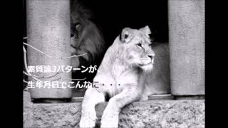 素質論3パターンが、生年月日でこんなに・・・