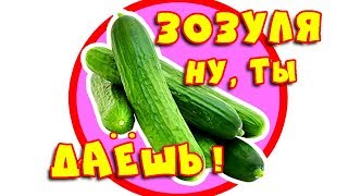 Супер УРОЖАЙНЫЕ огурцы F1 ЗОЗУЛЯ. Огурцы ведрами ГАРАНТИРОВАННО!