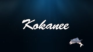 Northwest Bait & Scent - Kokanee