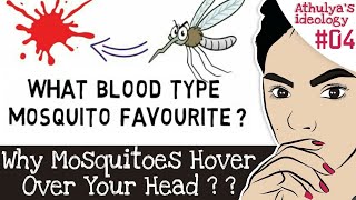 Which Blood Group Does Mosquitoes Likes Most | Why Do Mosquitoes Circle Over Your Head | Top Facts