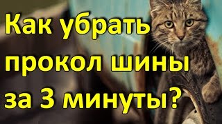 калининград авито авто