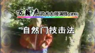 Style naturel (Ziran Men) Wan Laisheng et Liang Chao Qun