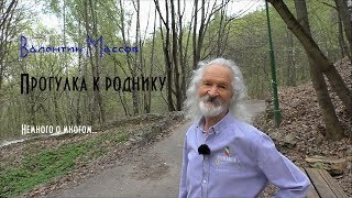 Валентин Массов. Прогулка к роднику. Немного о многом...