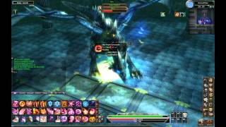 Dragon Knight Meets A Fucking Asshole Summy (Dekaron Rising)