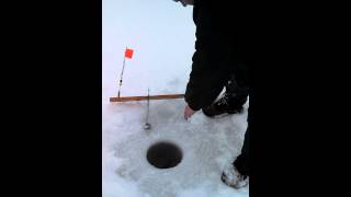 Catching Northern on the ice