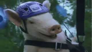 Geico Pig Southpointe Easter Invite 2012