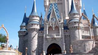 Steve's Surprise Proposal at Disney World!!
