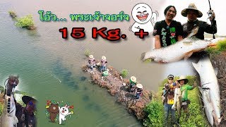 กะพงยักษ์ 15 up+ วังกึ่งธรรมชาติริมทะเล