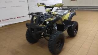 Квадроцикл Motoland ATV 250 ADVENTURE за 97 900 руб в Мото-Актив