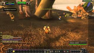 Приключения в World of Warcraft 1-90 с фомкой (Часть 1)