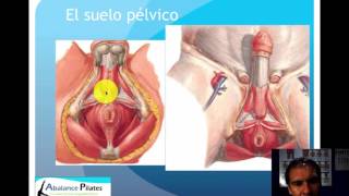 Presentacion Piso Pelvico