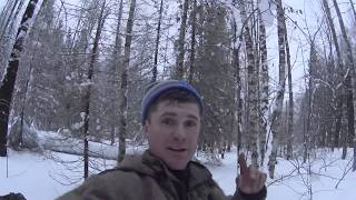 УСТАНОВКА КАПКАНА НА БОБРА  ПОГОНЯ ЗА ВОЛКОМ/INSTALLING A  HUNTING TRAP ON A BEAVER, CHASING A WOLF