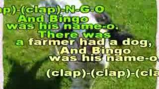 B-I-N-G-O