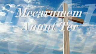 Frunz - Mecarumem anunt Ter.