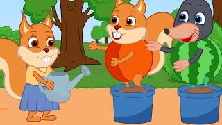 Famille d'Écureuil - je suis une pastèque Animé 2022 en Français