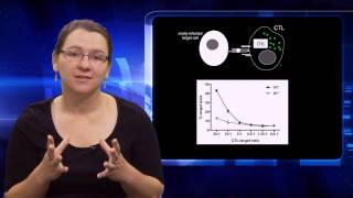 Understanding Cytotoxic T cell Function in a Model of Primary Immunodeficiency - Senta Kapnick